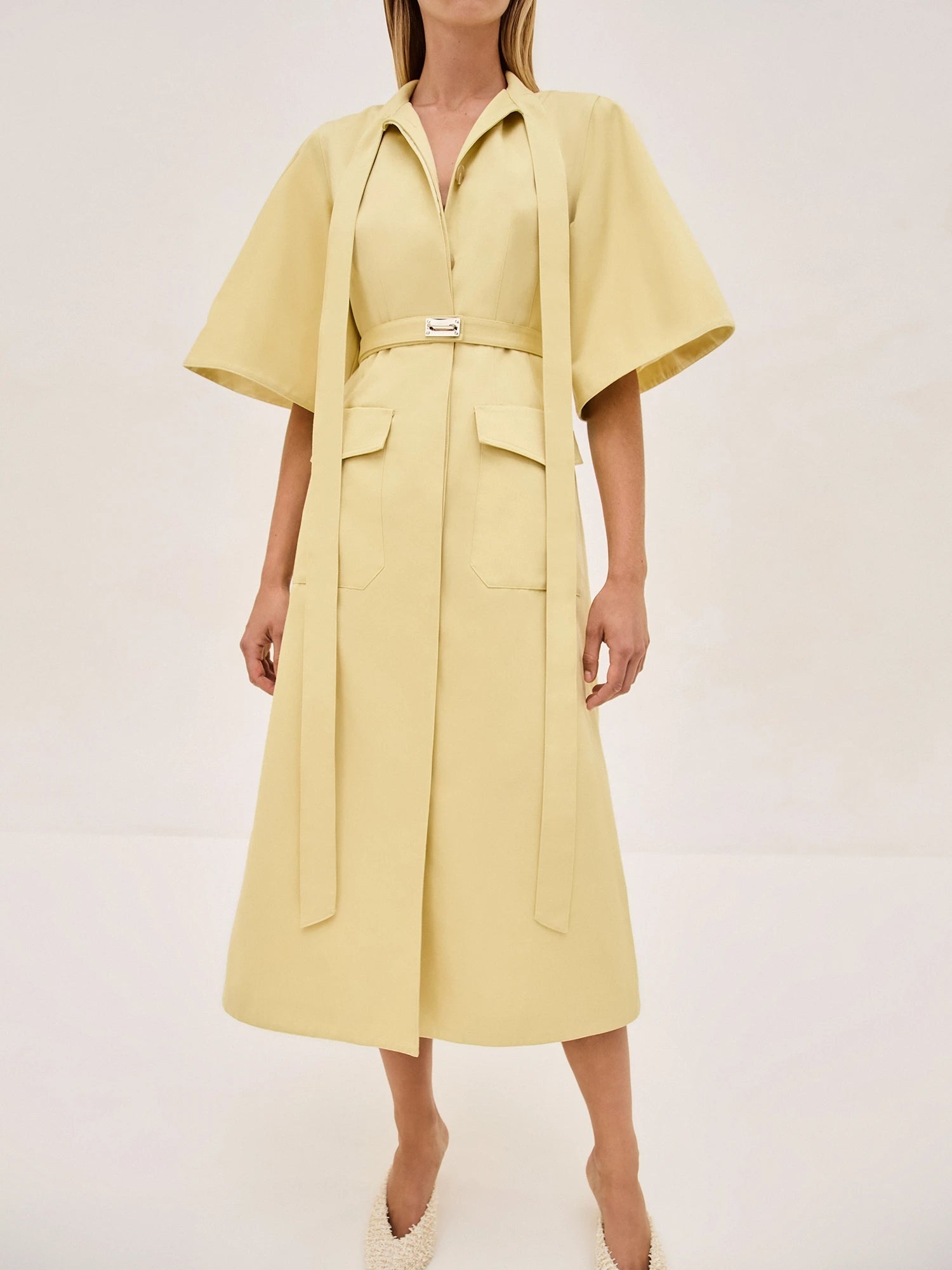 Ilardi Dress - 2