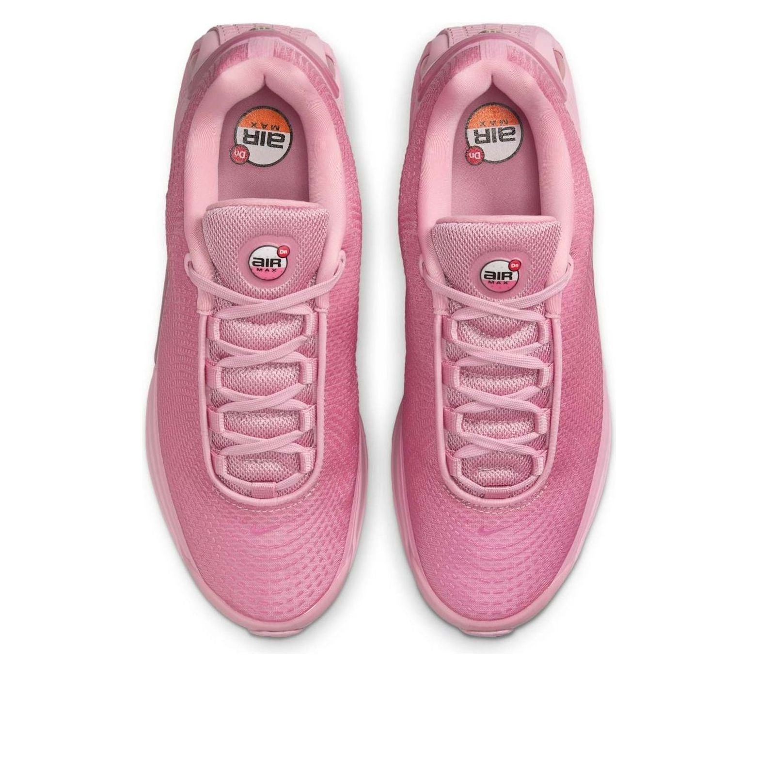 (WMNS) Nike Air Max DN 'Elemental Pink' HV4861-600 - 4