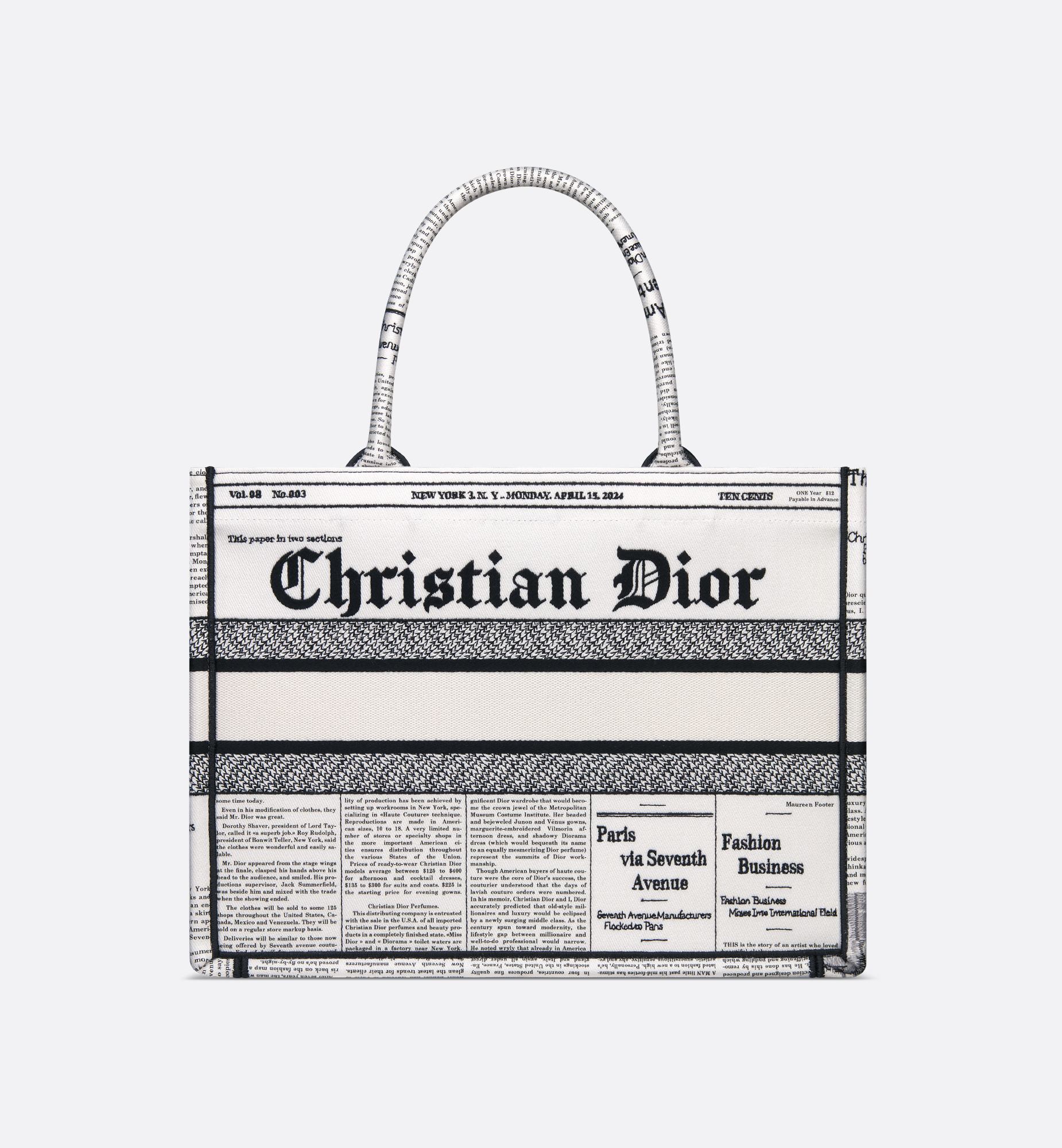 Medium Dior Book Tote - 2