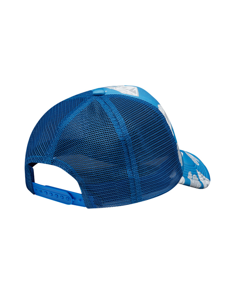 BILLIONAIRE BOYS CLUB DIAMONDS & DOLLARS TRUCKER CAP outlook