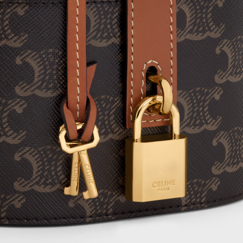 Vanity Case in Triomphe Canvas and Calfskin 4