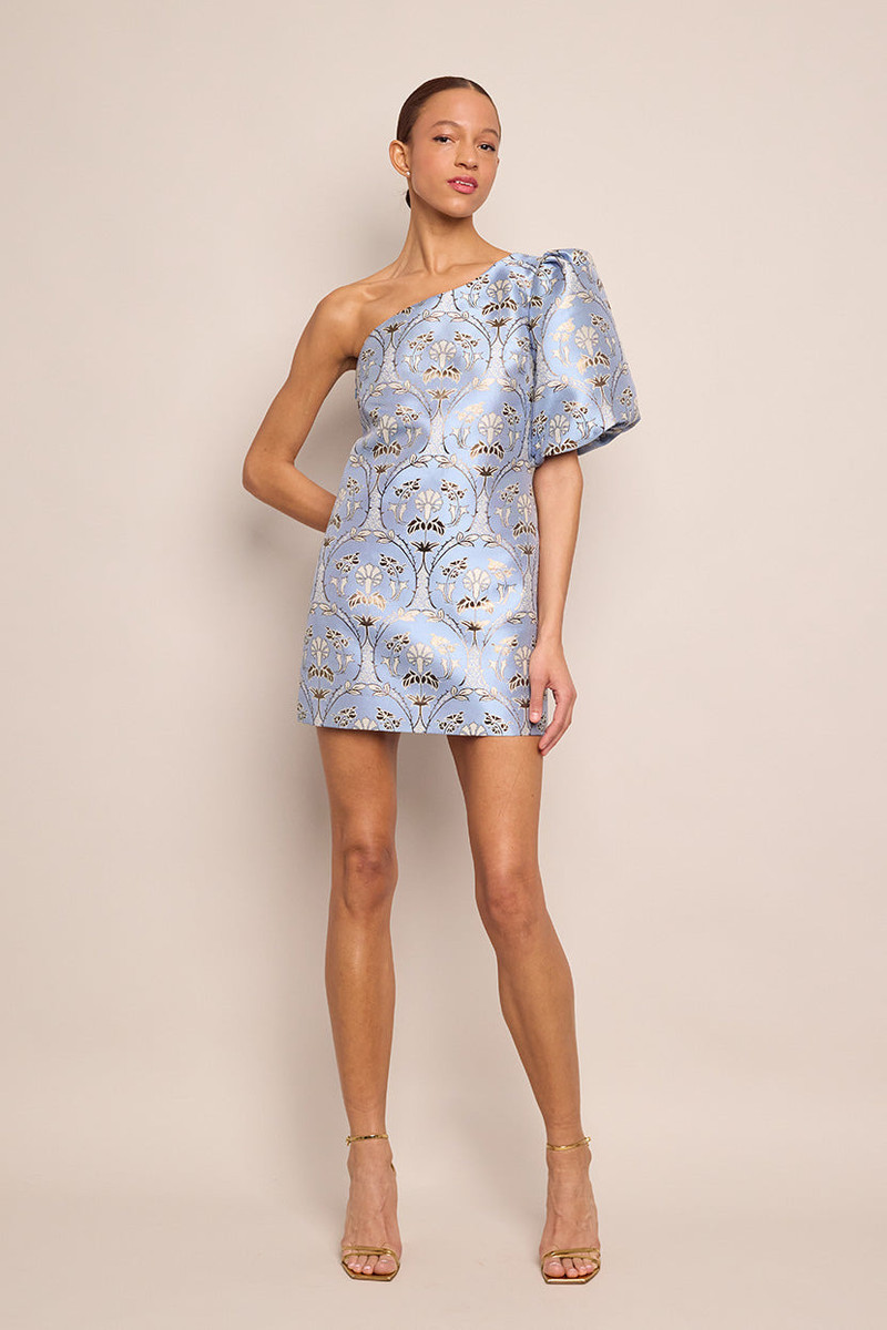 Cara Cara Lucia Mini Dress
An Entrance-Making Mini Dress Featuring A Statement Sleeve outlook