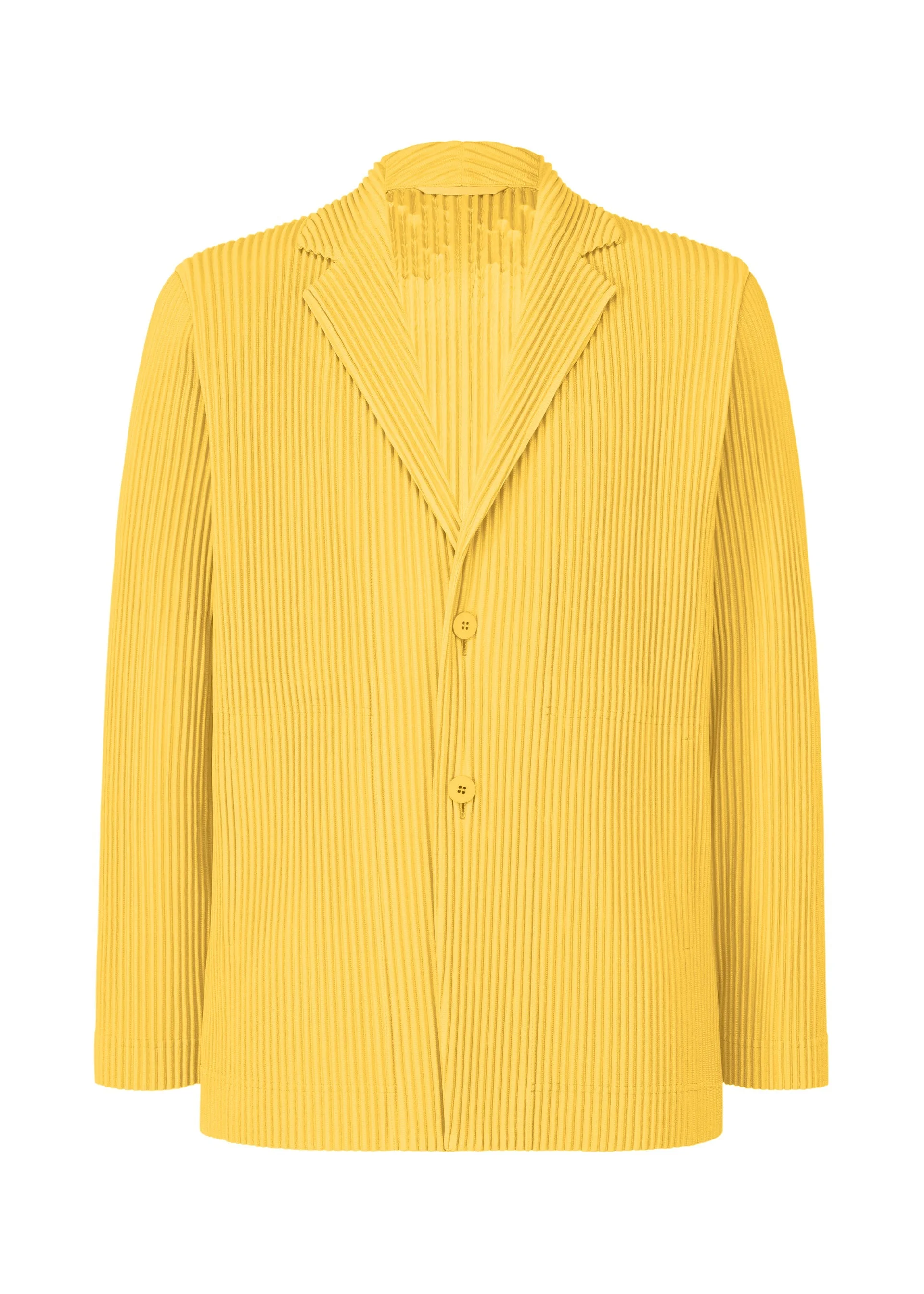 TAILORED PLEATS 2 - 1