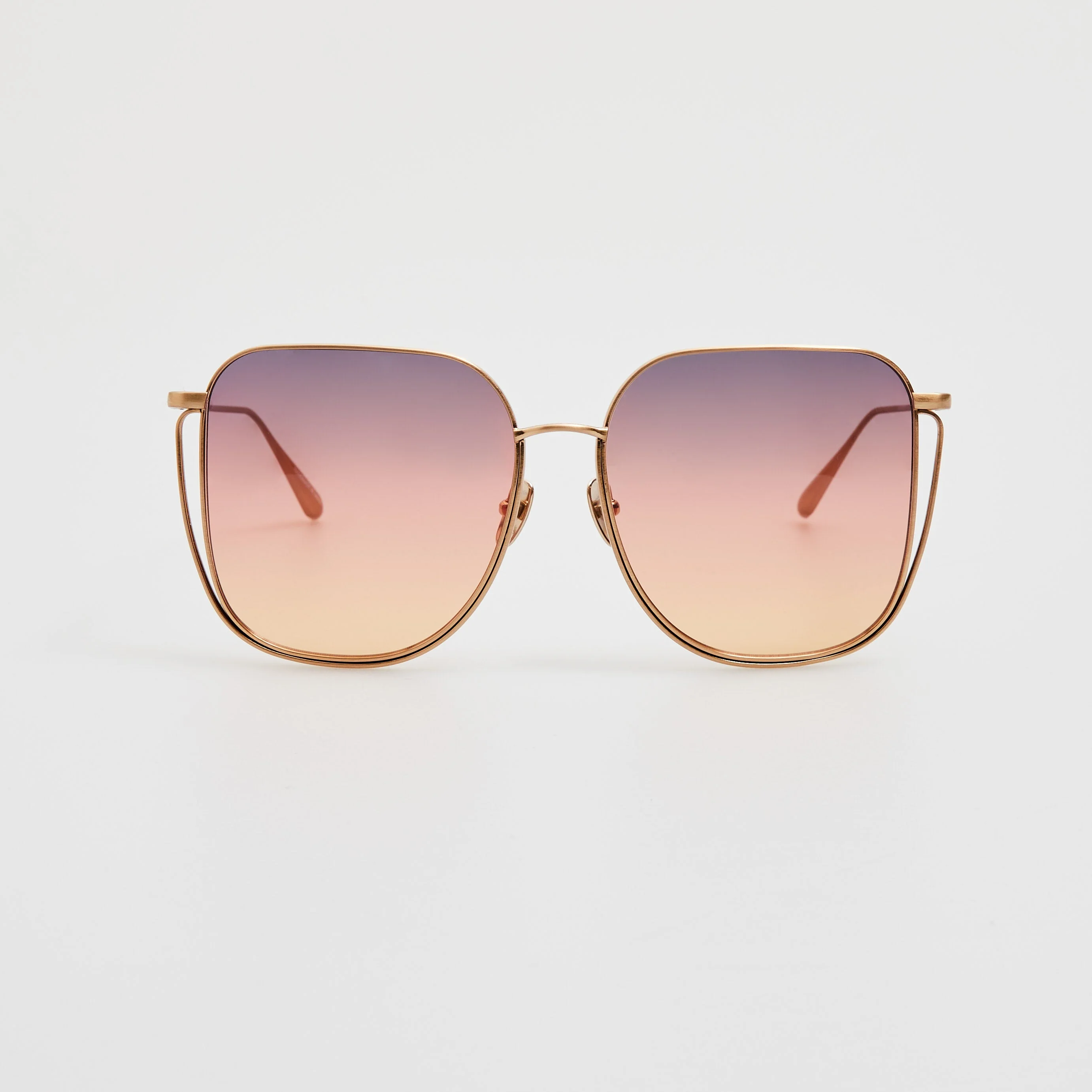 Camry Sunglasses in Matt Champagne - 1