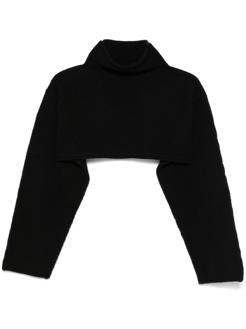 cropped sweater 1