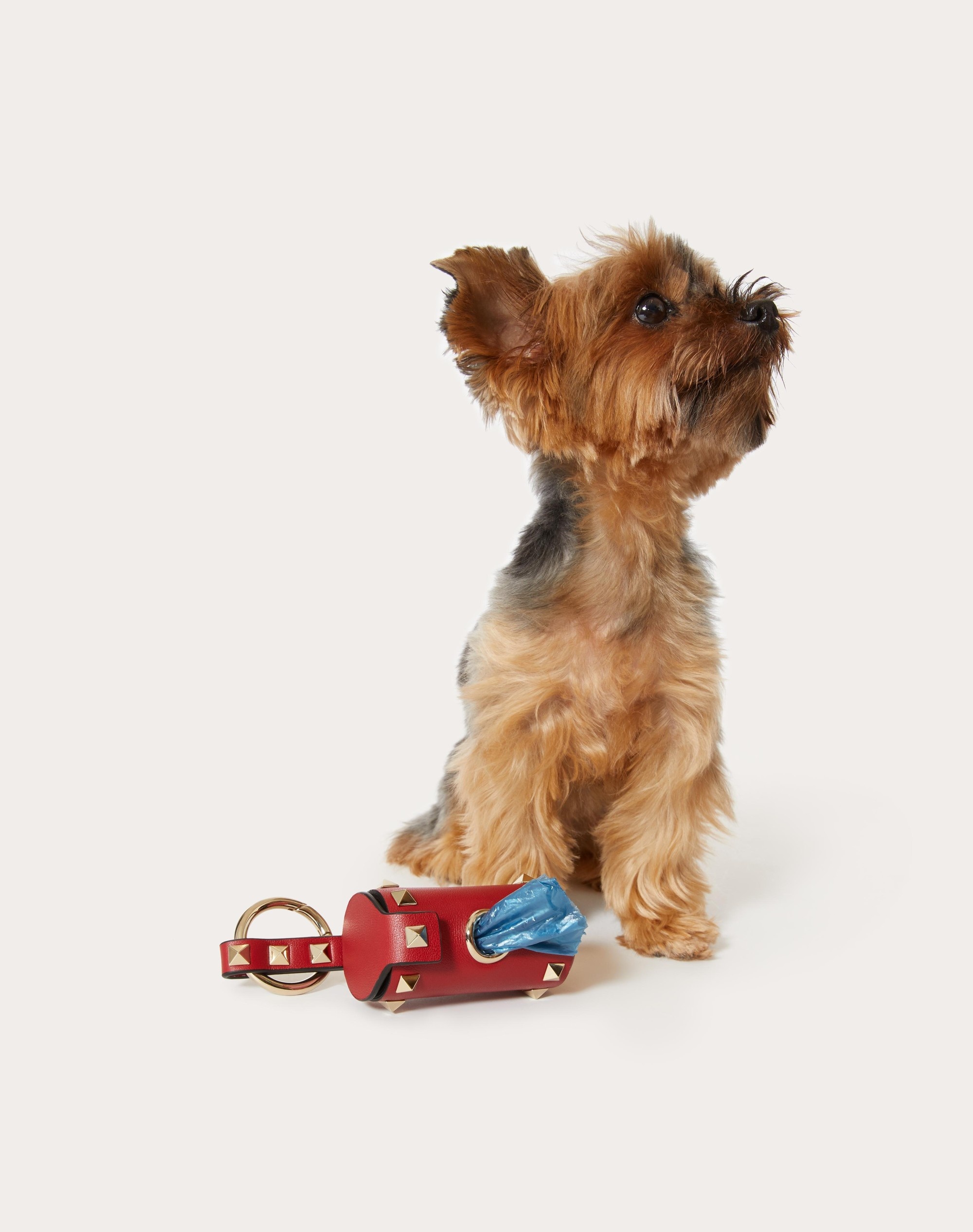 VALENTINO GARAVANI ROCKSTUD PET WASTE BAG HOLDER - 5