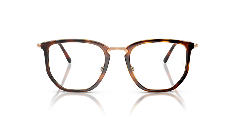 RB4451V OPTICS 4