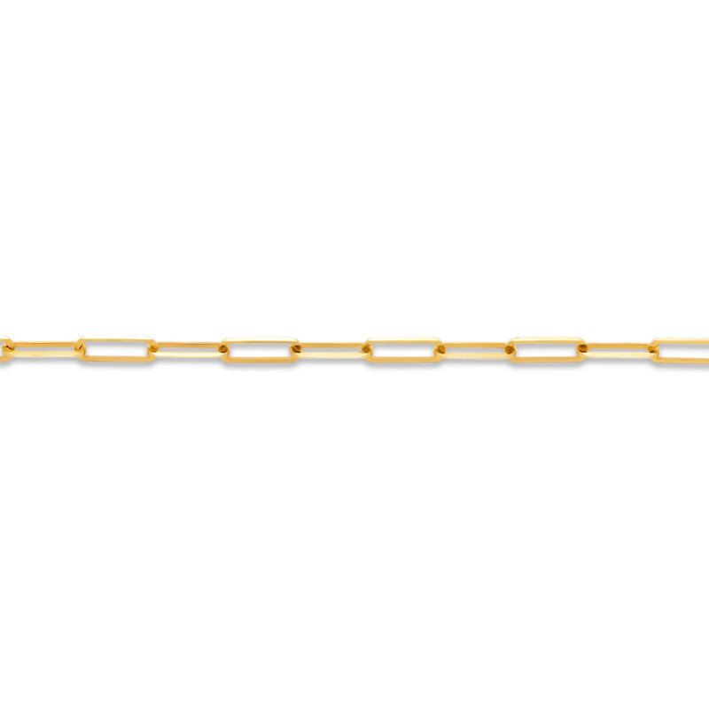 Paperclip Anklet 3