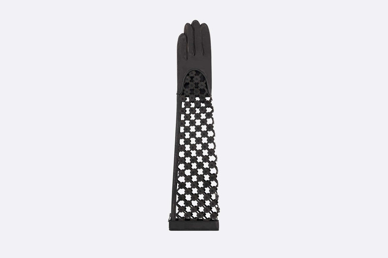 Dior Long Gloves outlook