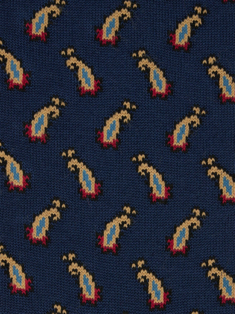 Etro PAISLEY COTTON JACQUARD SOCKS outlook