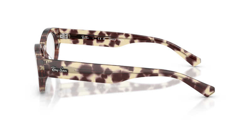 RB5447 OPTICS 6