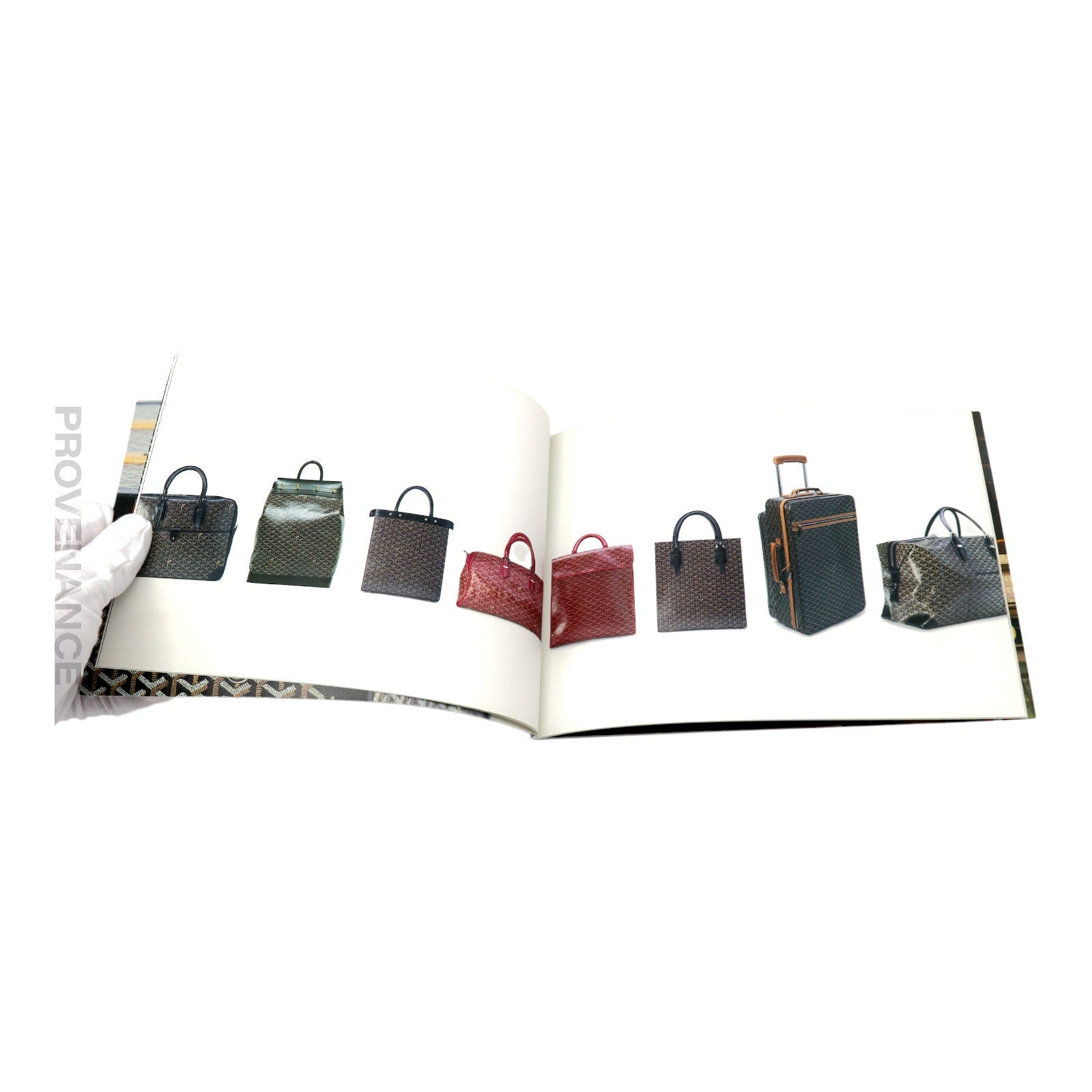 Goyard Book - 8