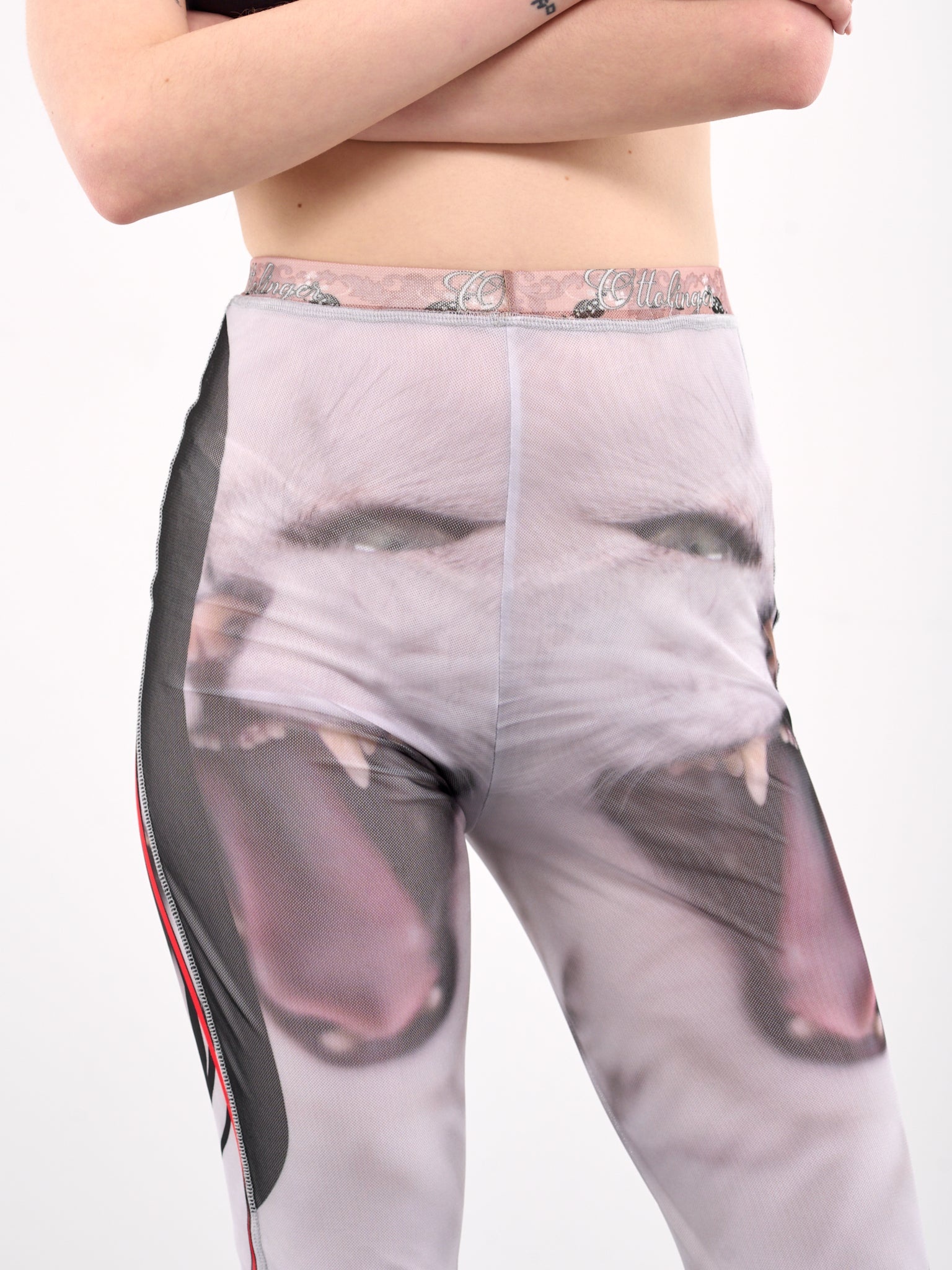 Printed Mesh Pants - 4