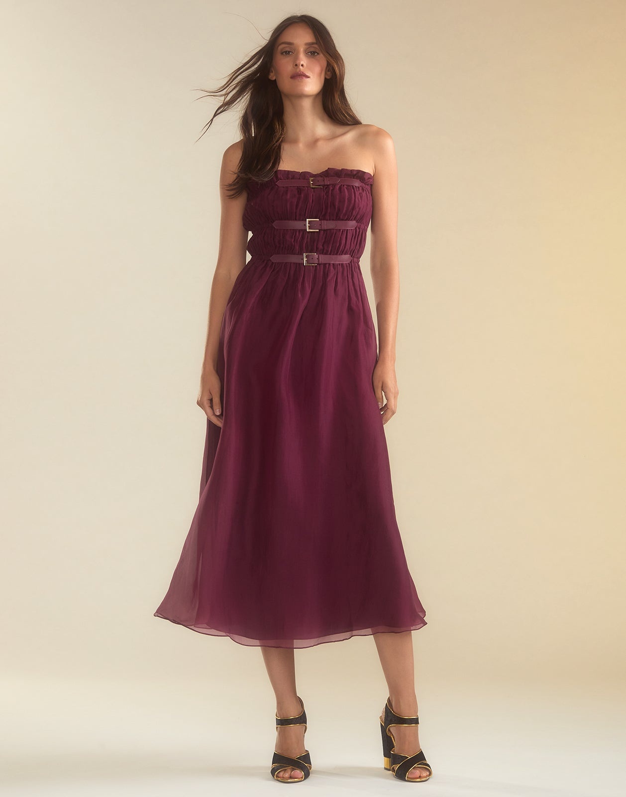 Buckle Up Silk Organza Dress - 5