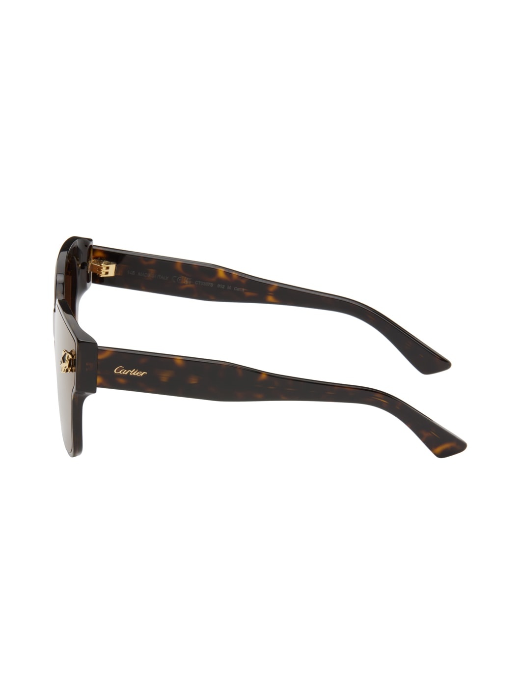Brown & Black Panthère Wayfarer Acetate Sunglasses - 3