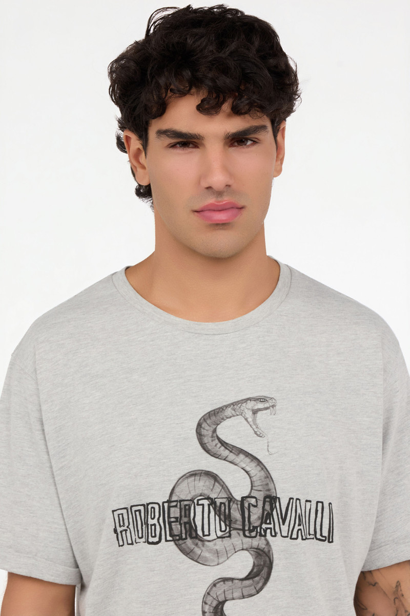 Grey Mélange T-Shirt with Snake and Logo 6