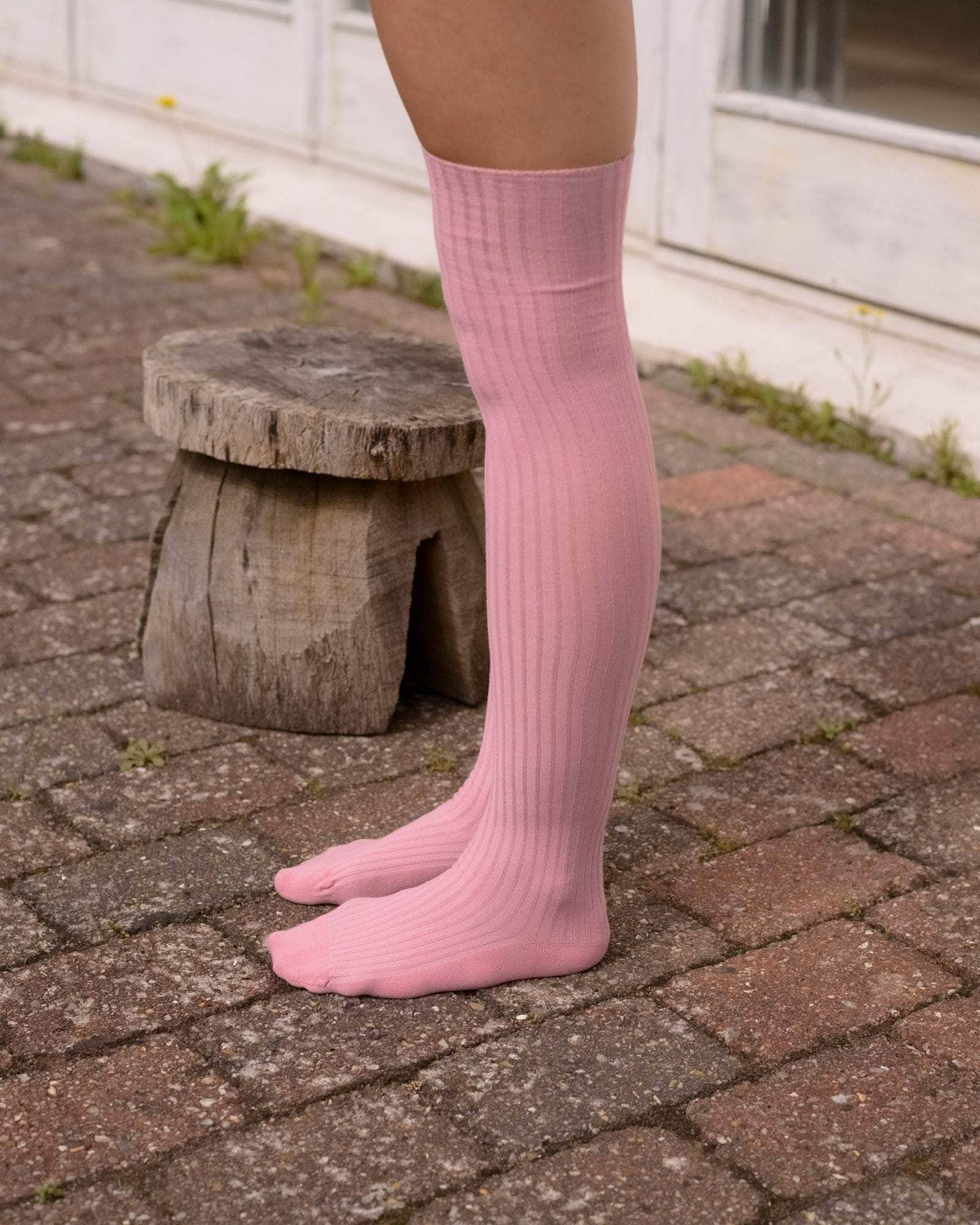 Overknee Socks - Organic Cotton Rib - 3