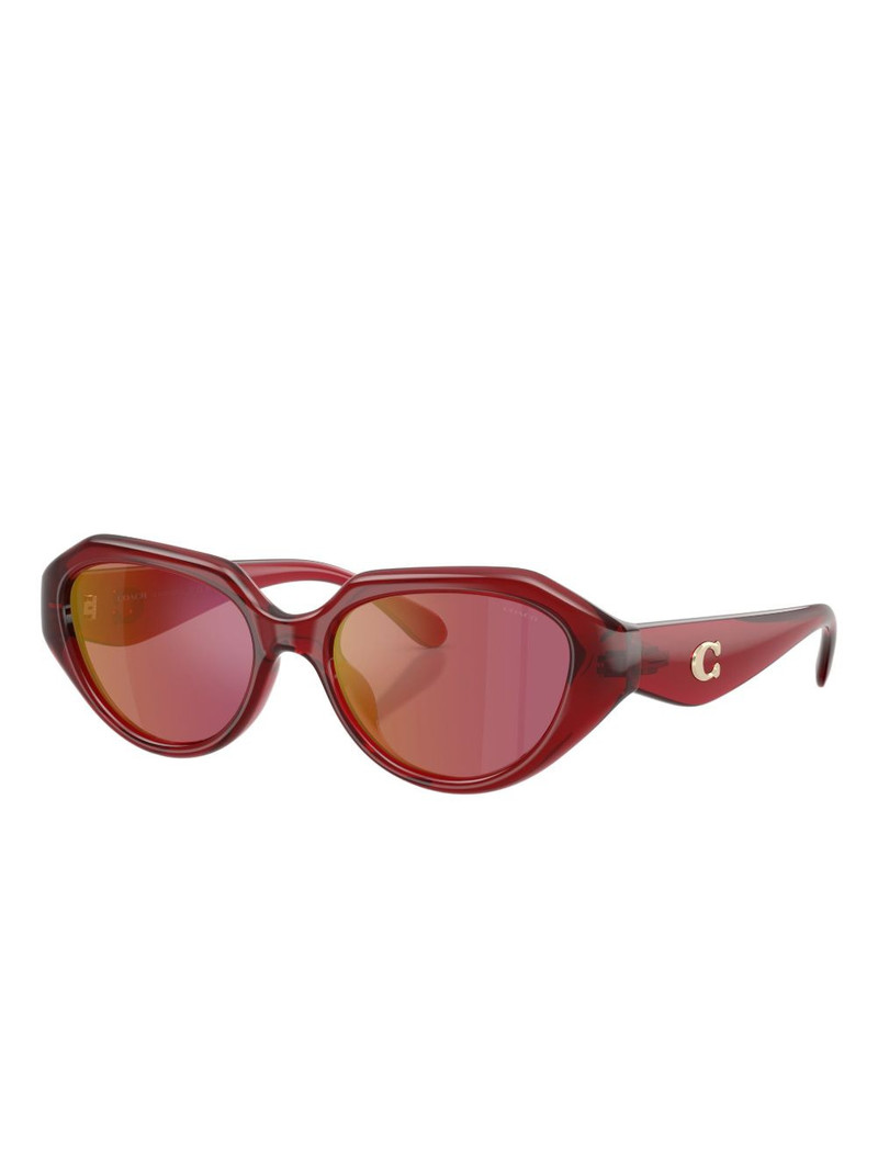 COACH cat-eye sunglasses outlook