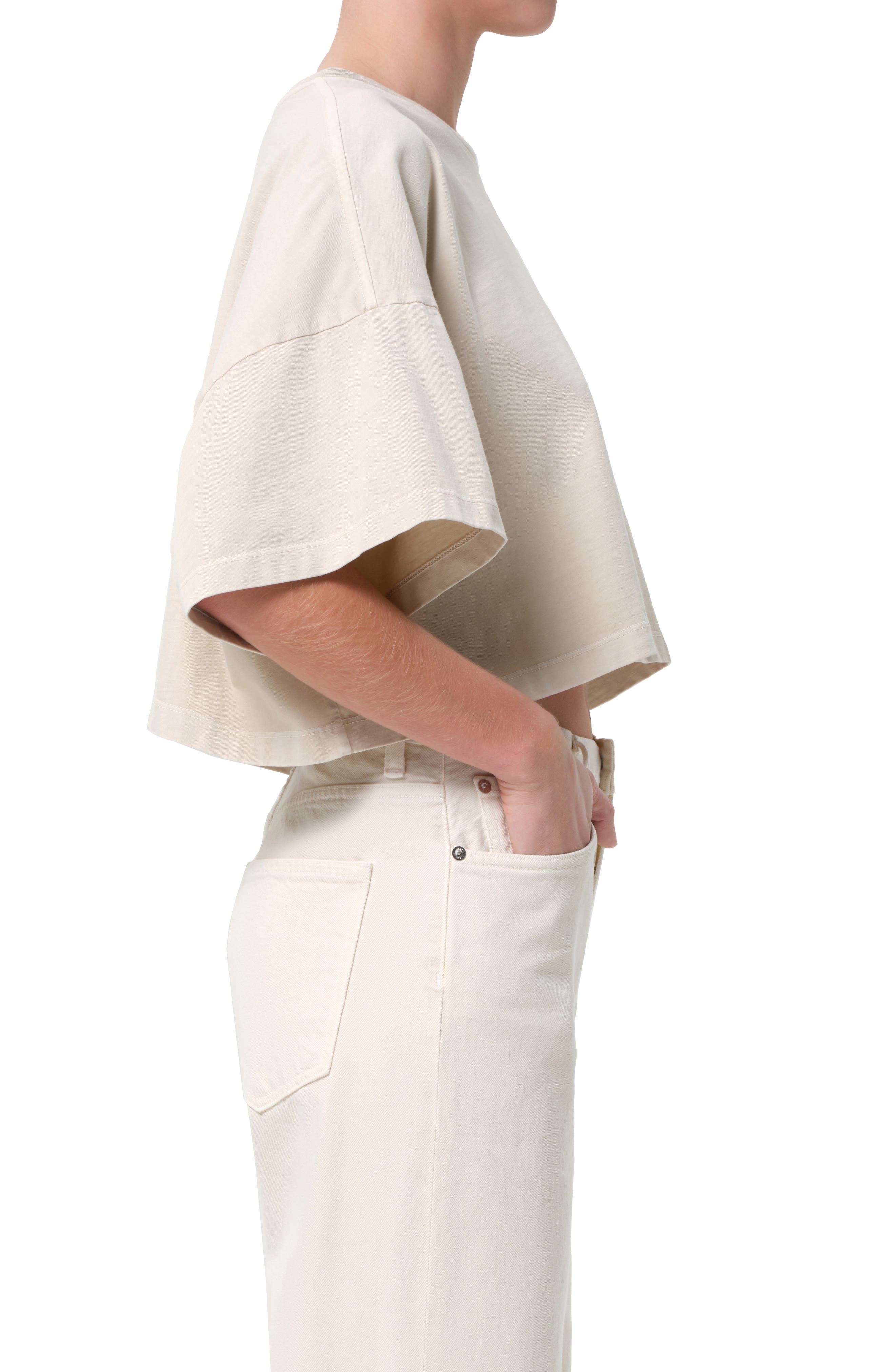 AGOLDE Arli Oversize Cotton Crop T-Shirt in Brown Rice at Nordstrom - 3