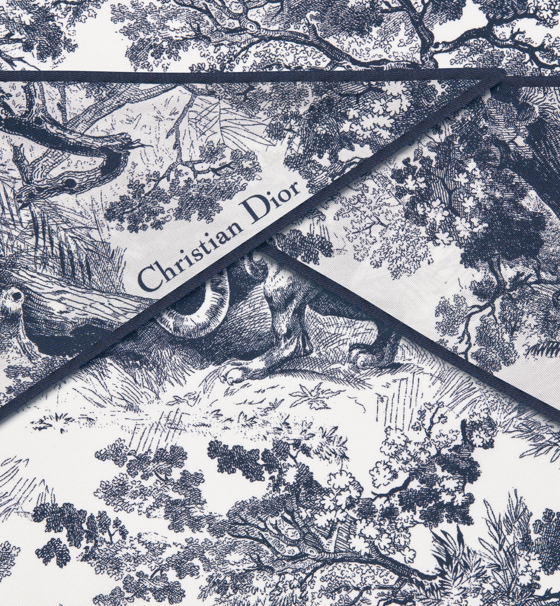 Toile de Jouy Sauvage Dior Diamond - 2