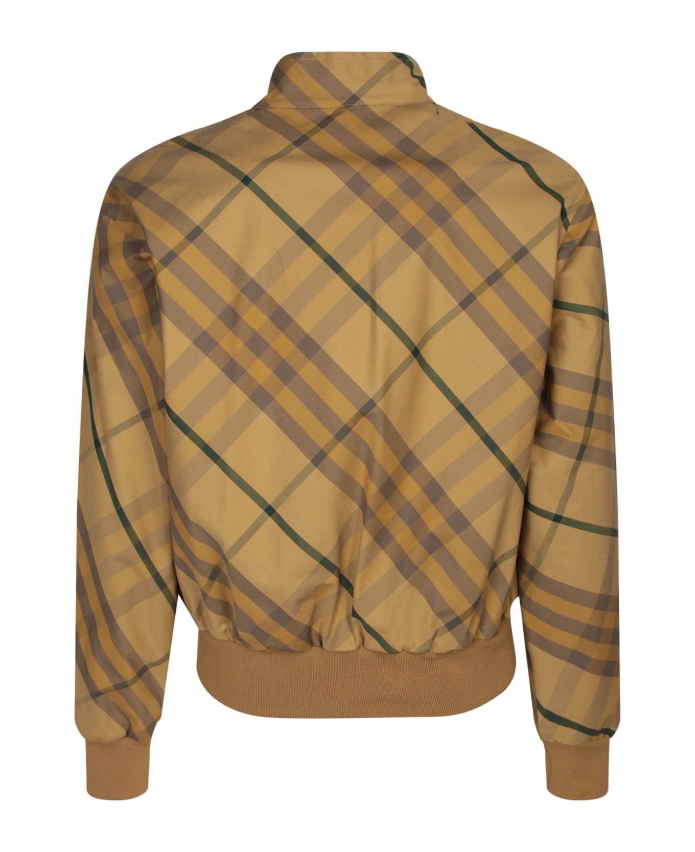 Jacket - 2