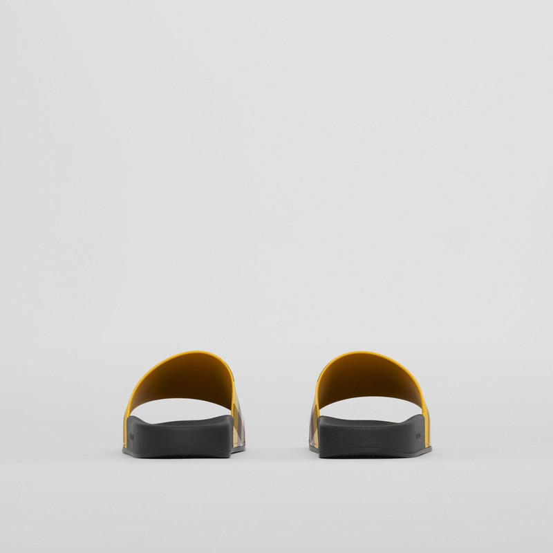 Check Print Slides 5