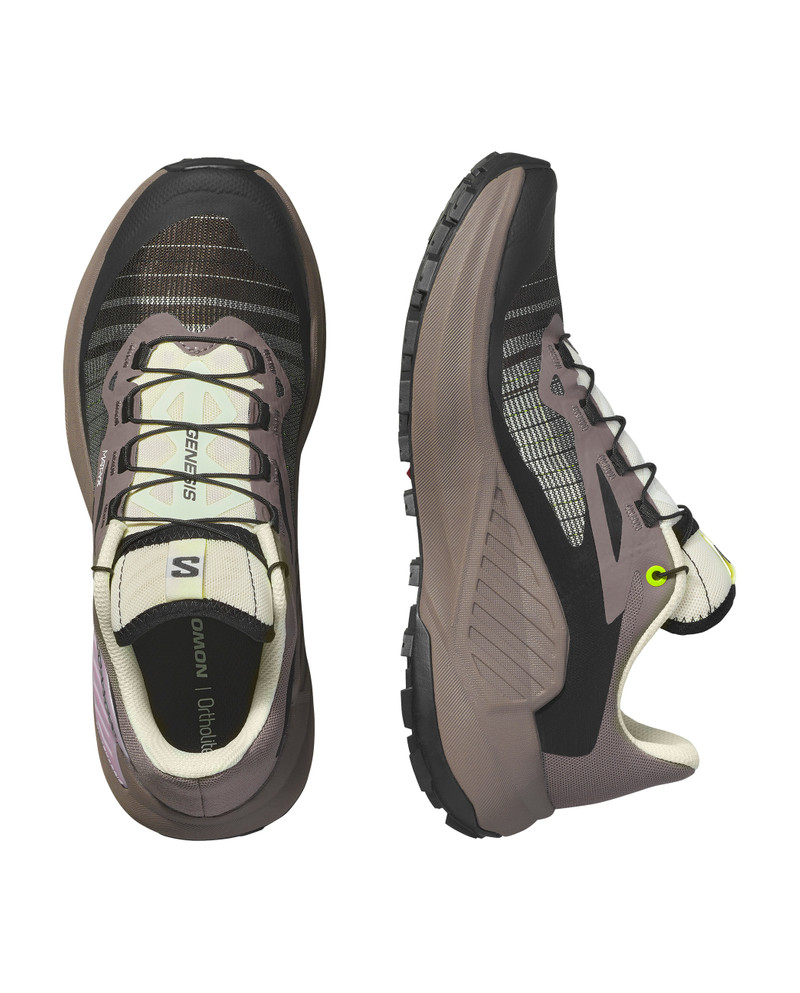 SALOMON GENESIS outlook