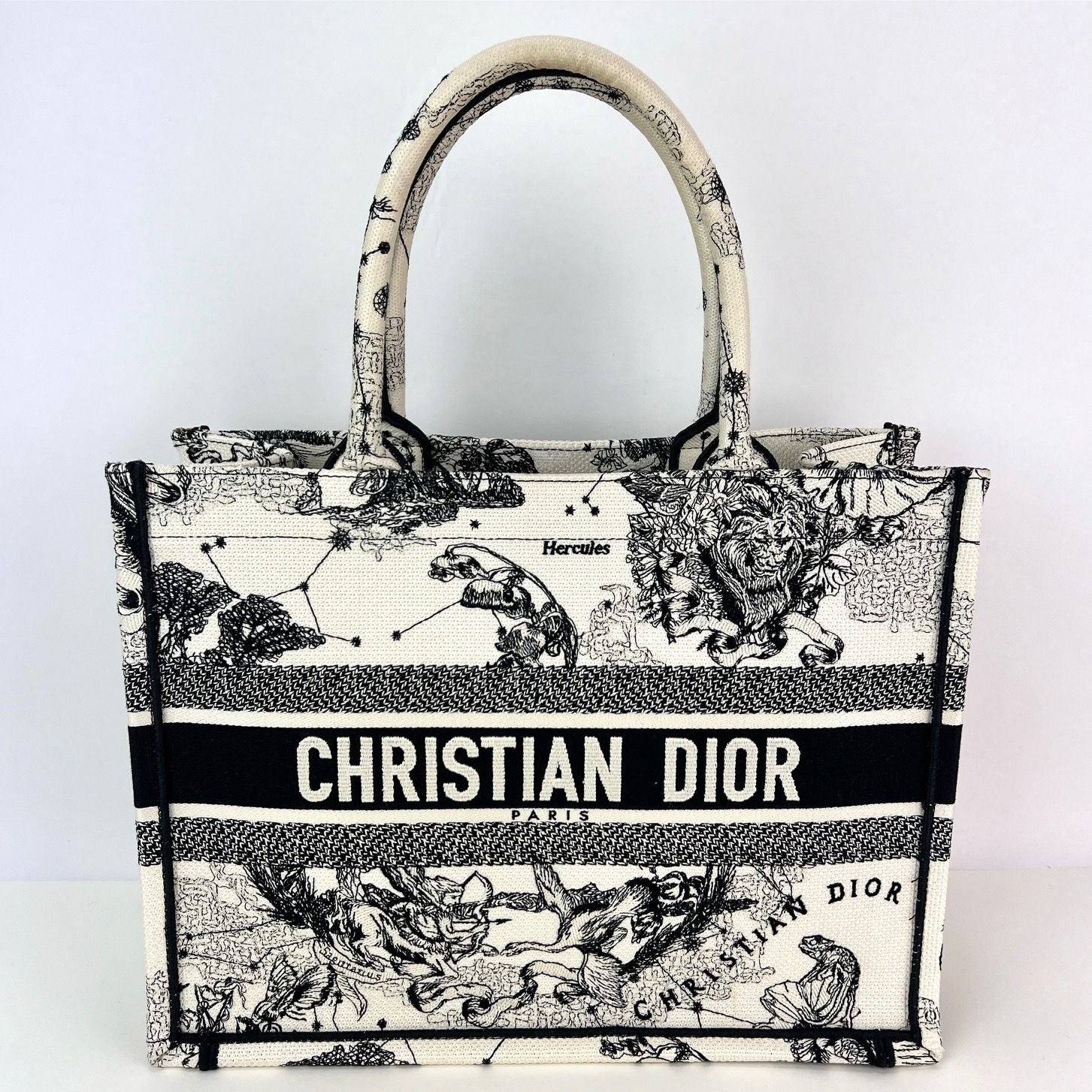 Christian Dior Book Embroidered Canvas Medium Stars and Signs Black Tote - 11