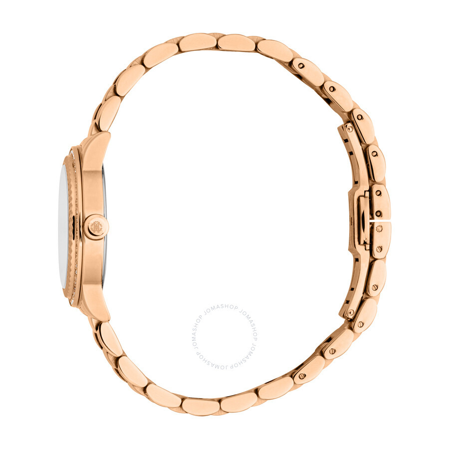 Roberto Cavalli Glam Silver-tone Dial Ladies Watch RC5L090M0065 - 3