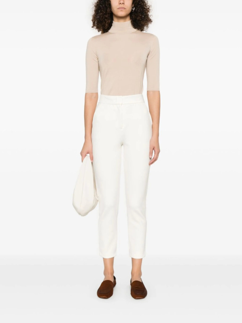 Max Mara Orlanda trousers outlook