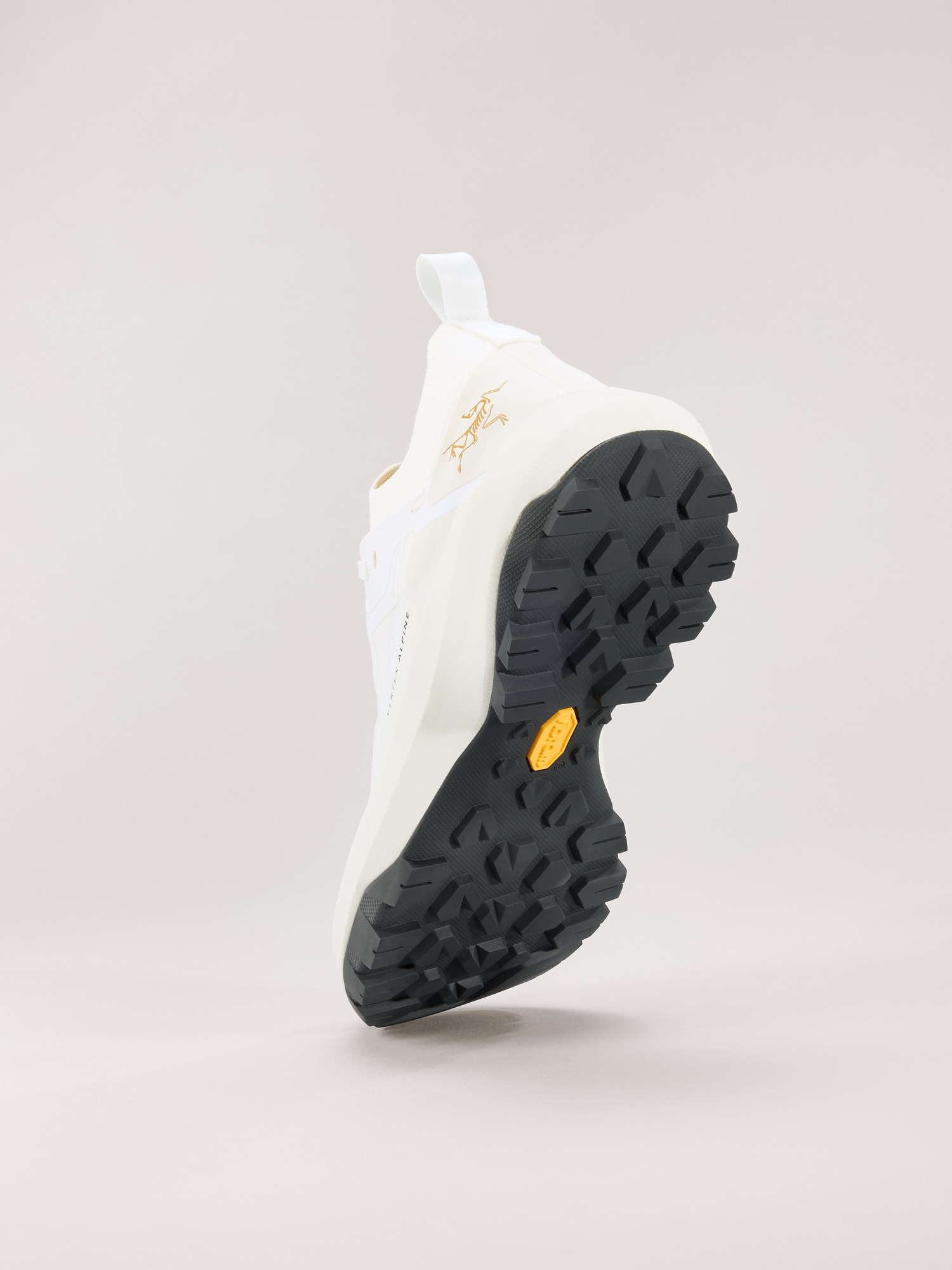 Vertex Alpine GTX Shoe - 4