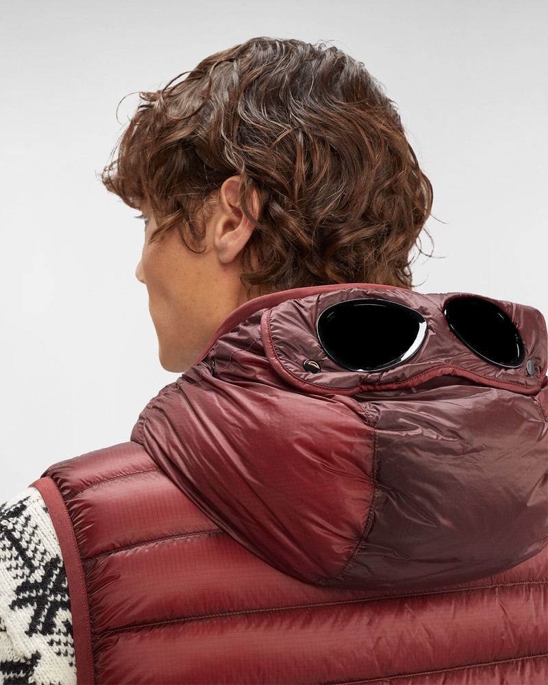 D.D. Shell Goggle Down Vest 5