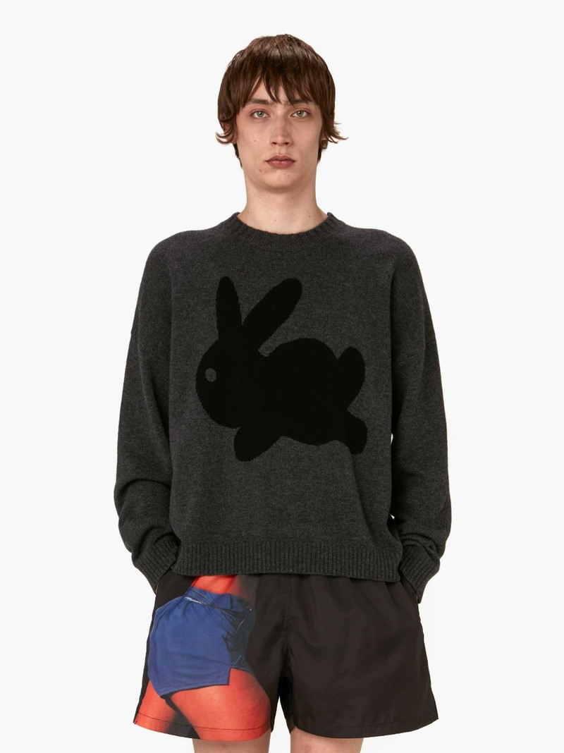 JW Anderson BUNNY JUMPER outlook