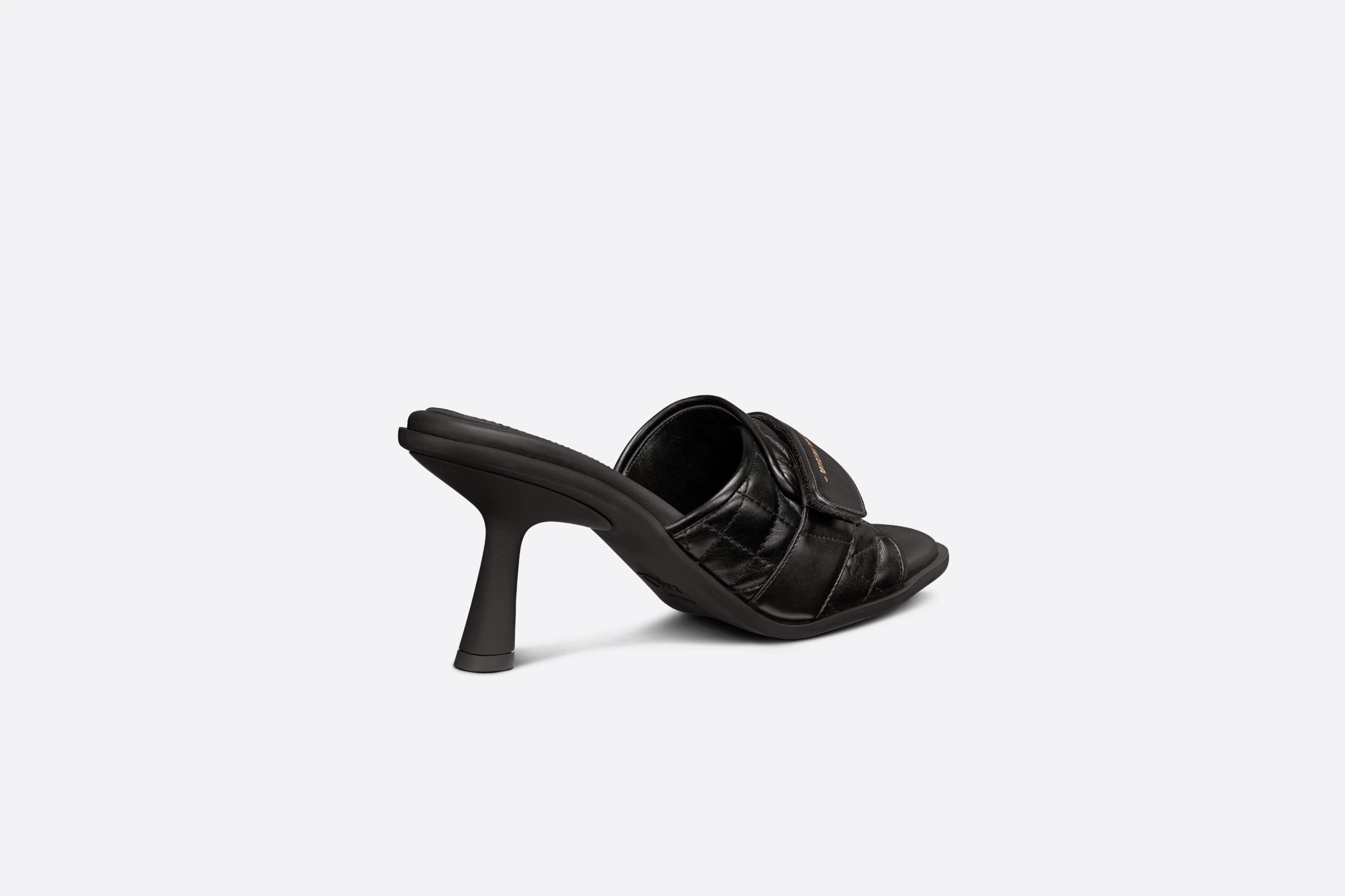 Dior Dio(r)evolution Heeled Slide | REVERSIBLE