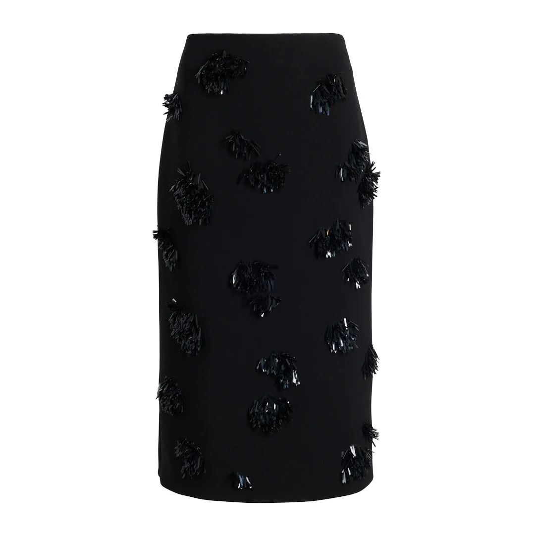 Embroidered Moira Skirt - 1