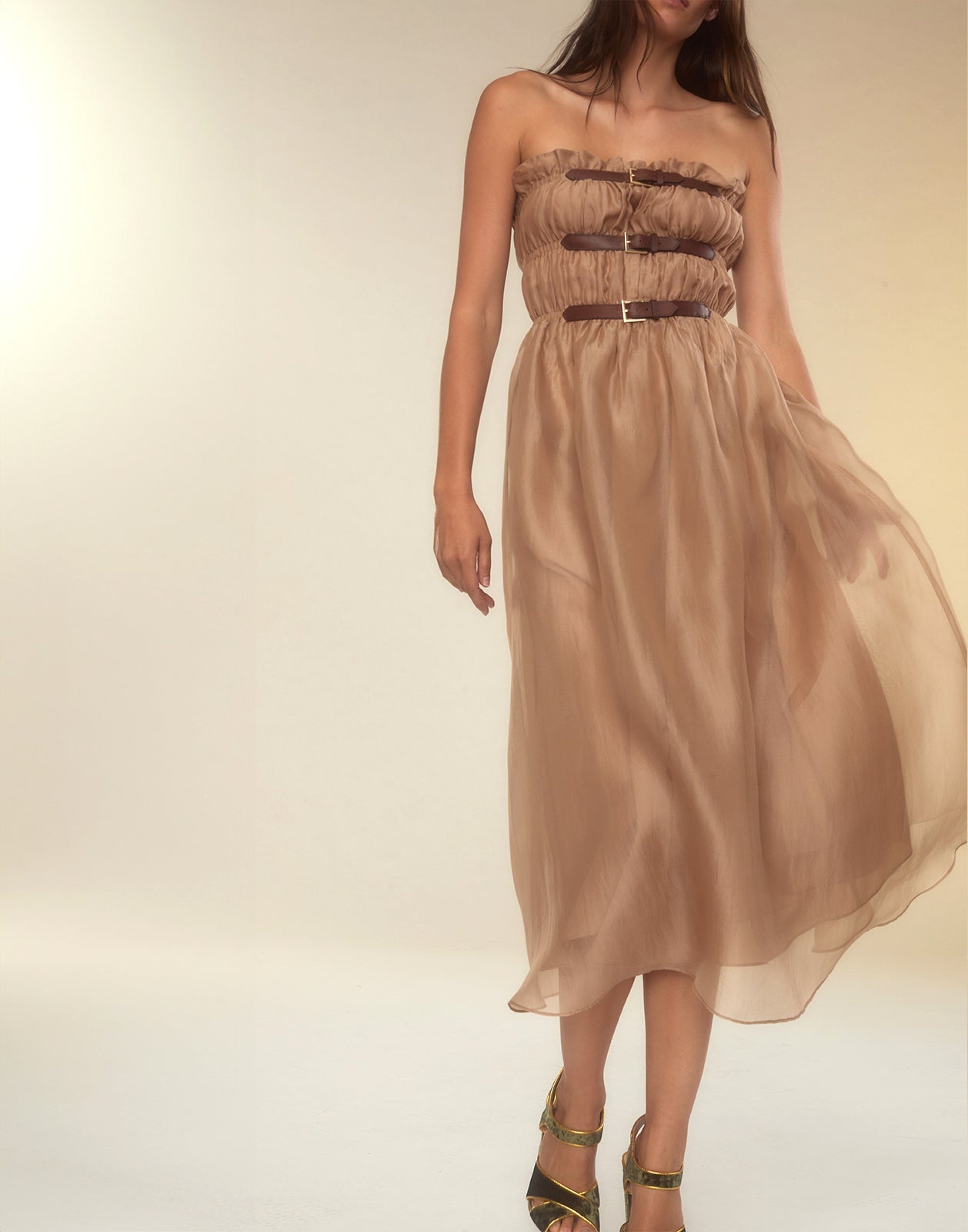 Buckle Up Silk Organza Dress - 5
