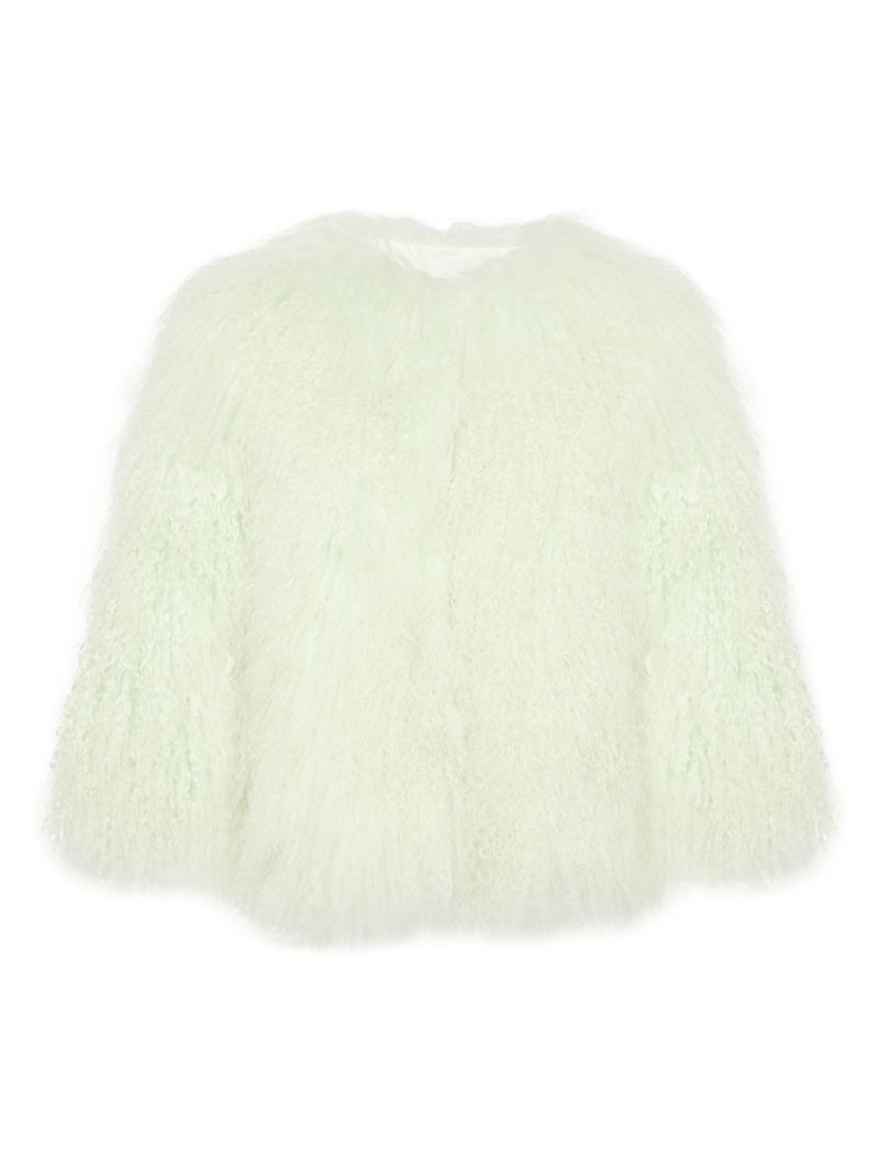 shearling jacket 1