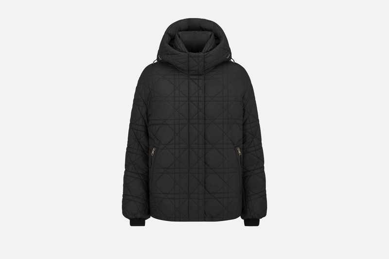 DiorAlps Macrocannage Hooded Puffer Jacket 1
