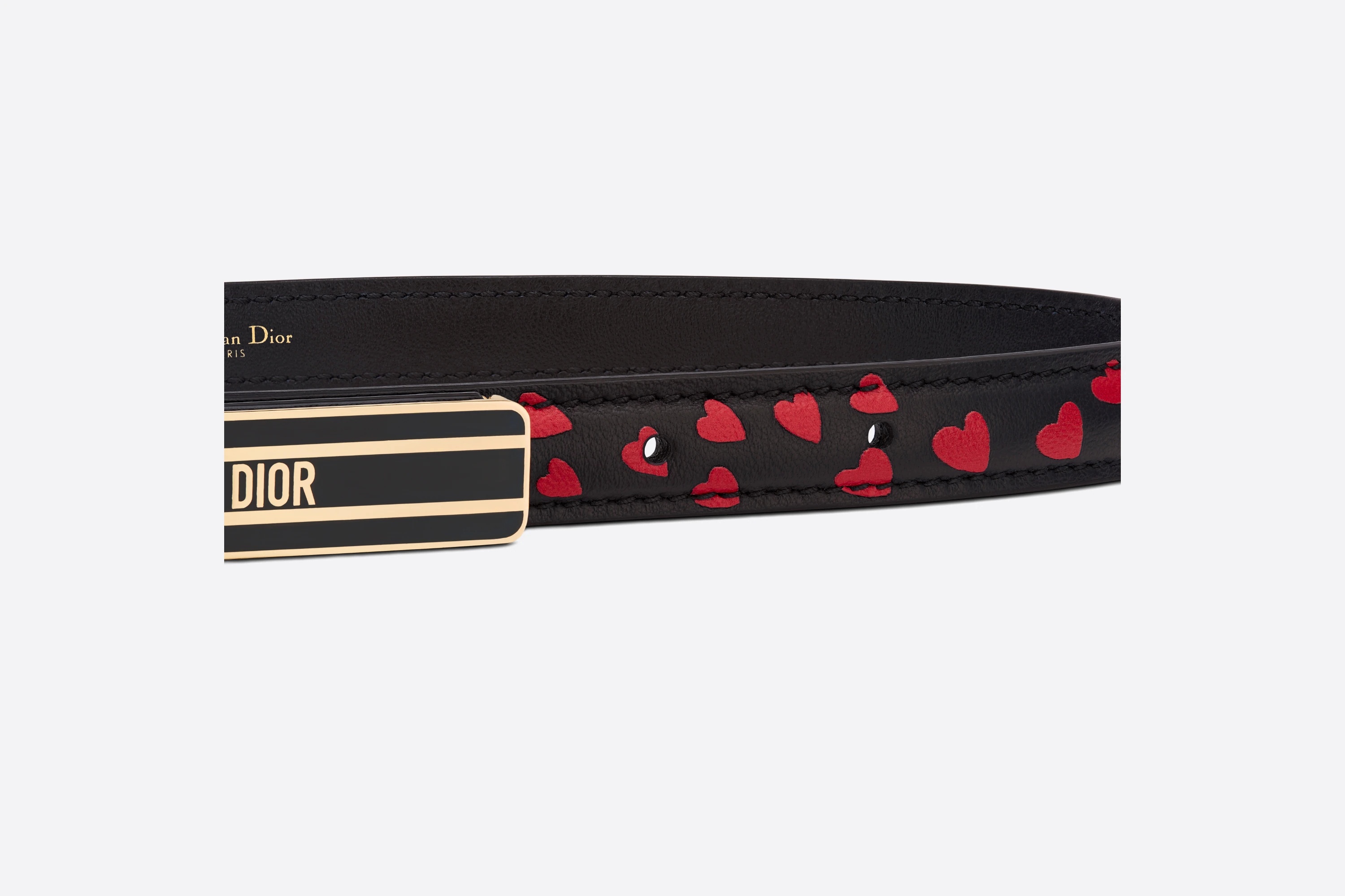 Dior-ID Belt - 4