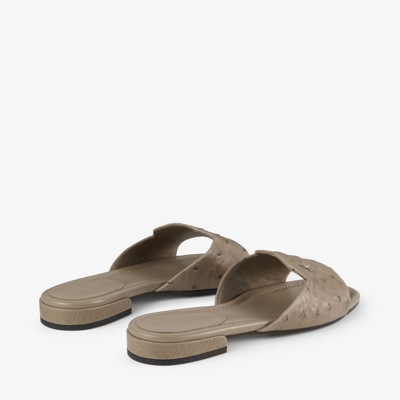 Dina Flat Taupe Ostrich Leather Flats 6
