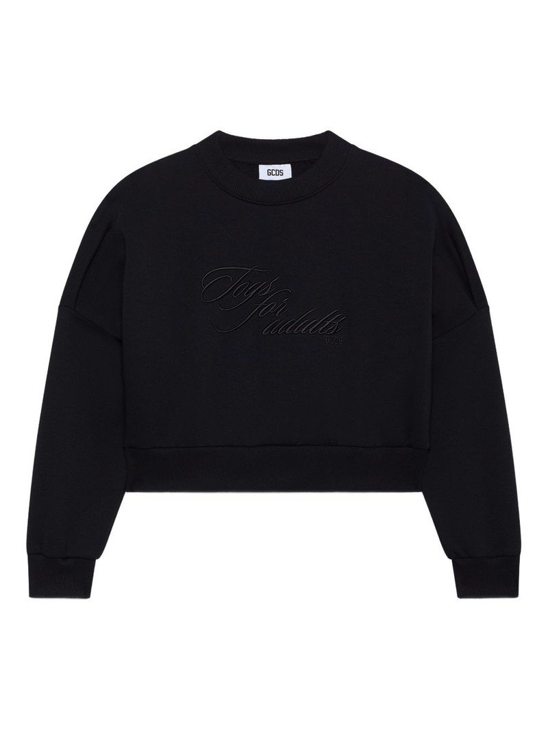 embroidered sweatshirt 1