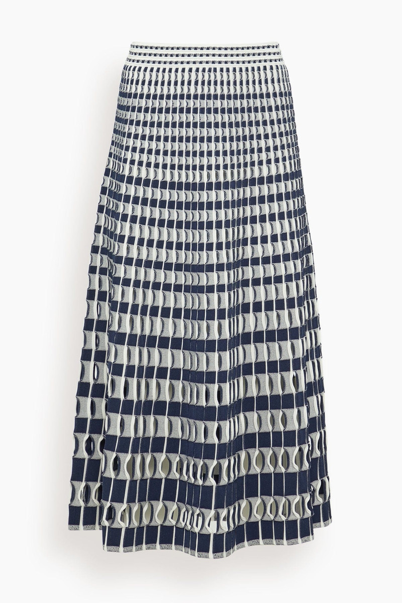 Larken Midi Skirt in Midnight Multi - 1