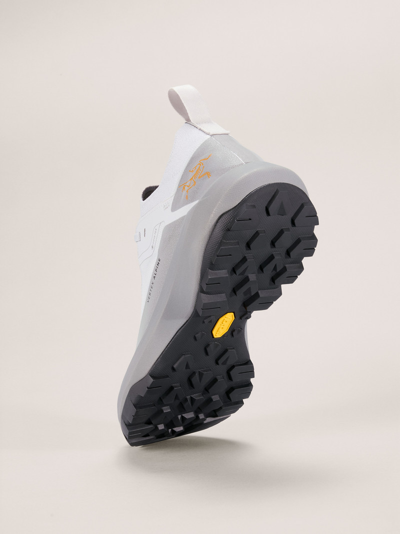Vertex Alpine GTX Shoe 4