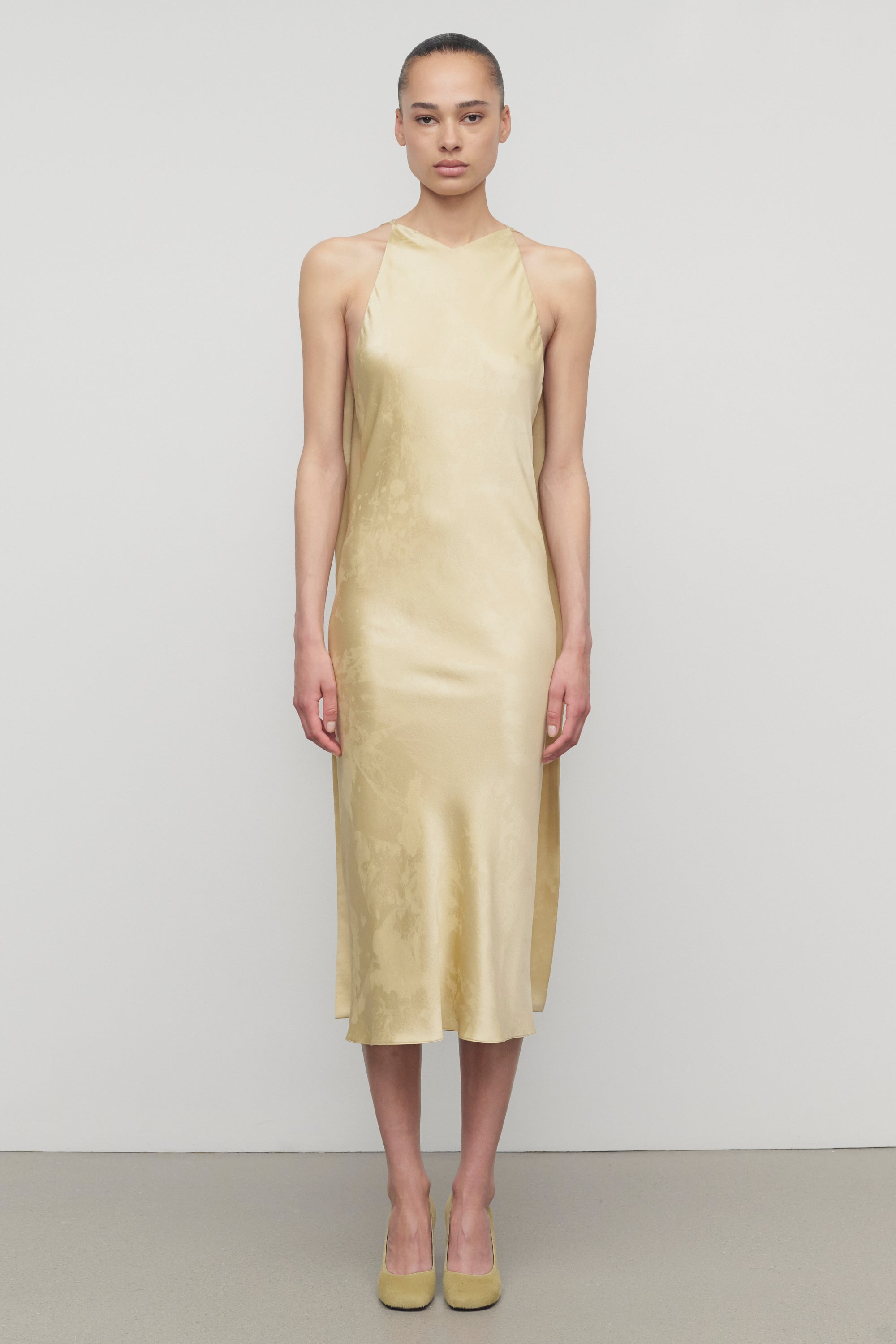 Baras Dress in Silk - 3