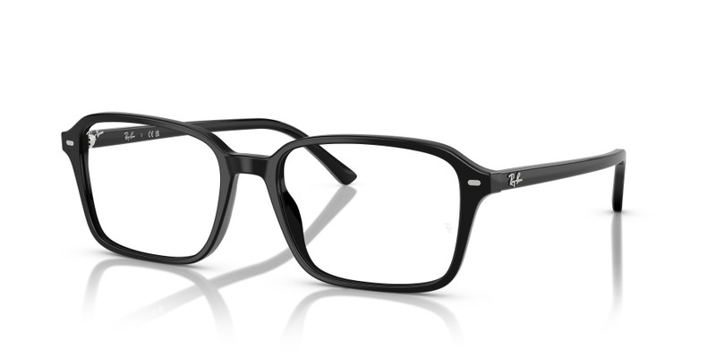 RAIMOND OPTICS 1