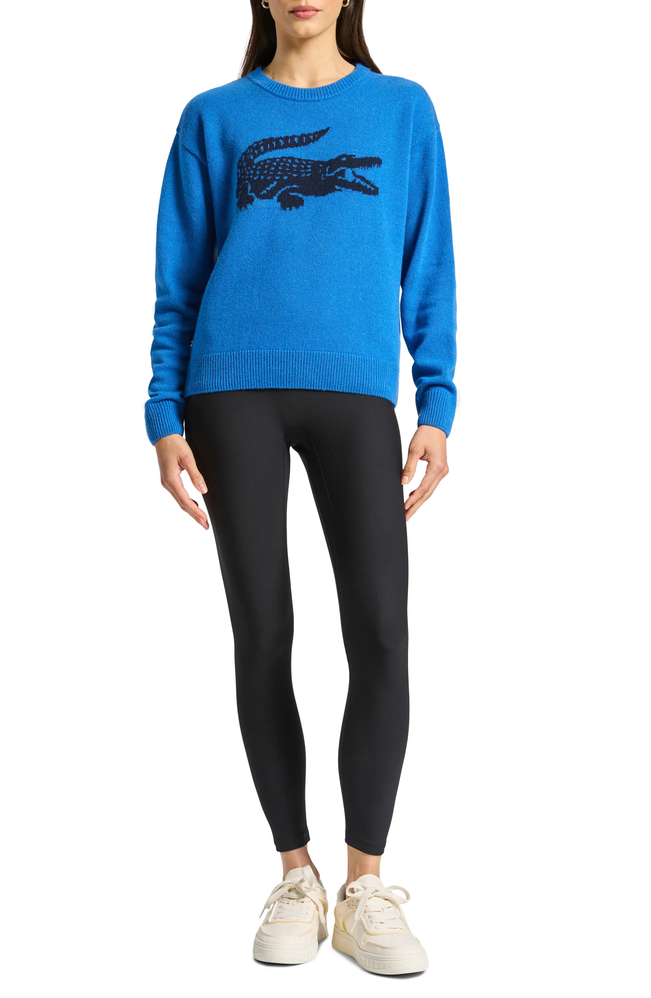 Big Croc Cashmere & Wool Crewneck Sweater in Iq2 Hilo/Marine - 8