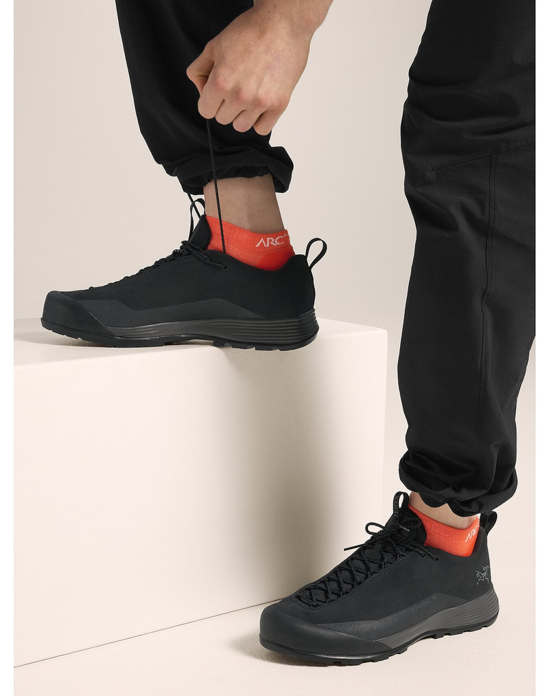 Arc'teryx Merino Wool Low Cut Sock outlook
