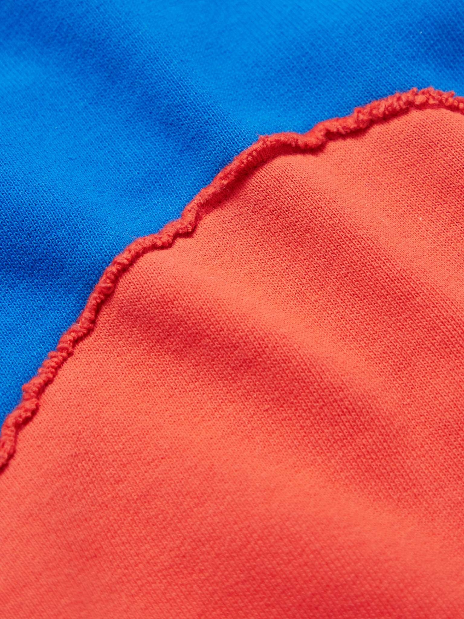 Two-Tone Panelled Cotton-Blend Jersey Hoodie - 3