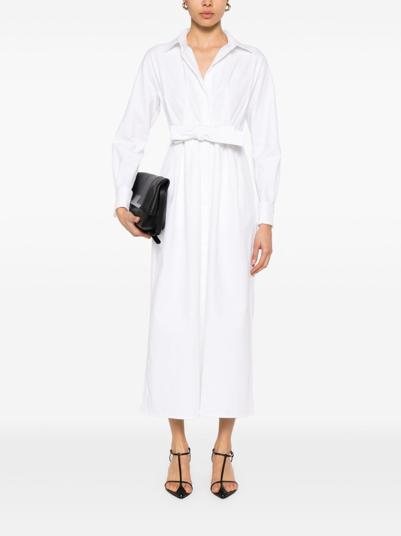 Max Mara Arezzo maxi dress outlook
