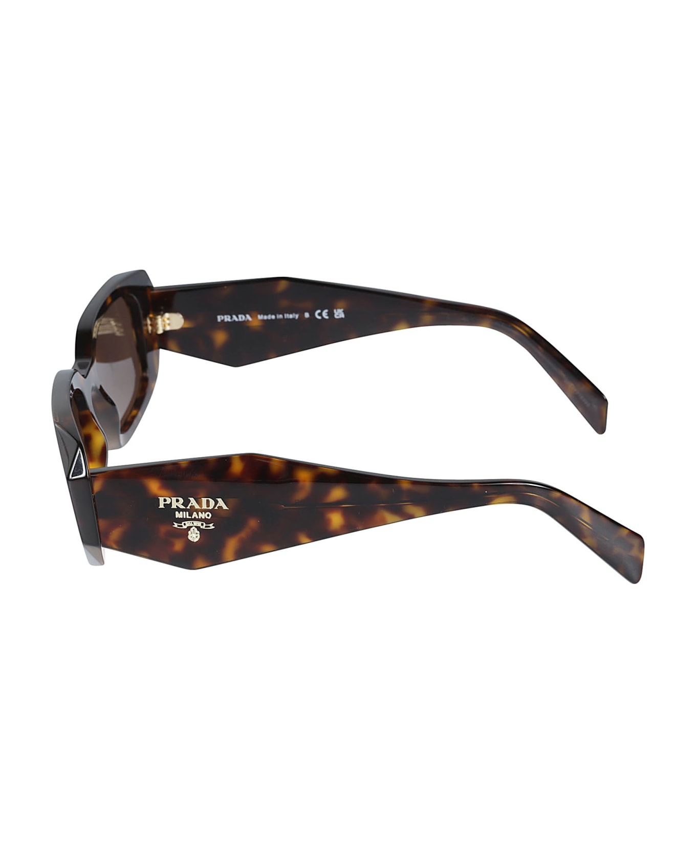 Scultoreo Sunglasses - 3